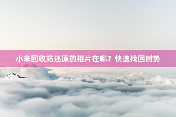 小米回收站还原的相片在哪？快速找回时势